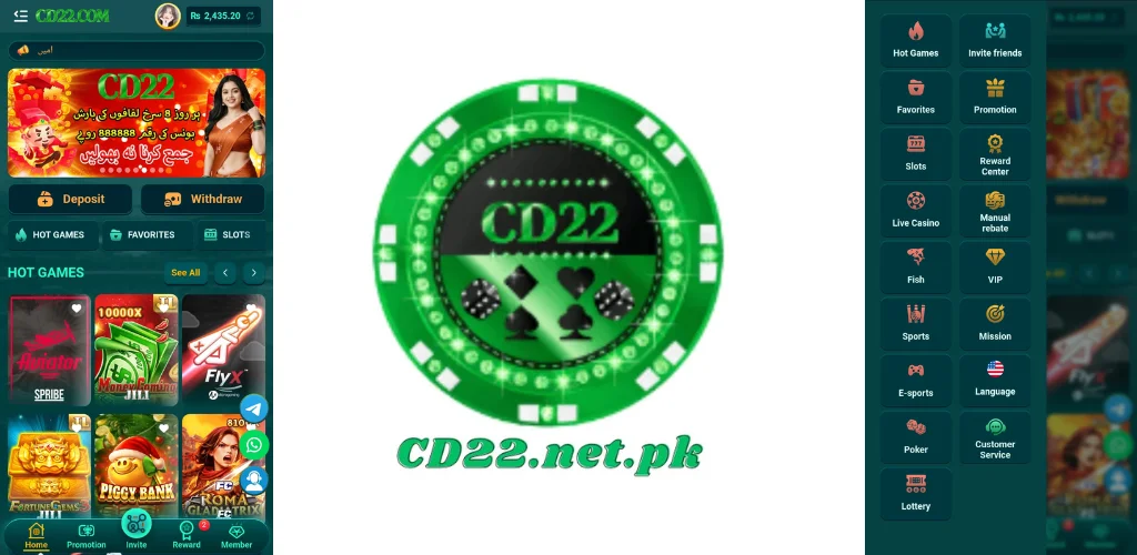 CD22 Game Dashboard cd22.net.pk